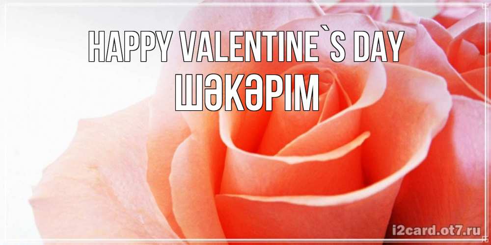 Greetings card с именем, ШӘКӘРІМ Happy Valentine`s Day открытка на день Святого Валентина с розовой розой Greetings with text for free download 